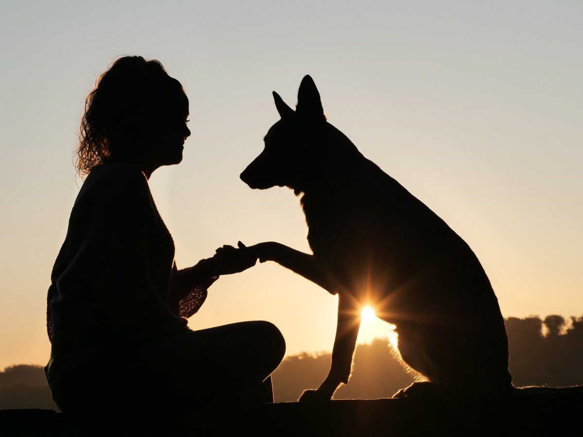 Animal Communication: Saintifik atau Tidak?