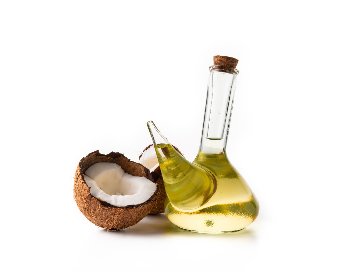 Anjing Kucing Bisa Diet Keto?